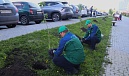 На Энгельса зацветут «деревья памяти»